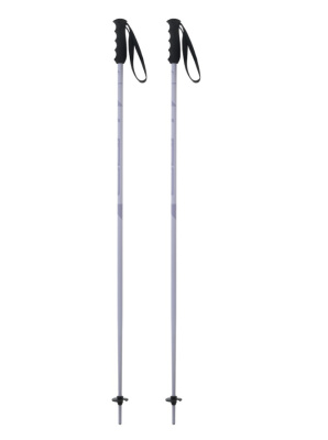 Палки горнолыжные Elan Speedrod Purple