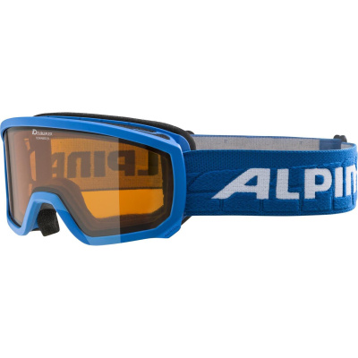 Очки Alpina Scarabeo Jr. DH lightblue 