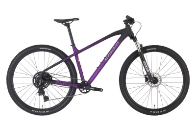 Велосипед Alpinebike 2025 Terra 9 фиолетовый космос