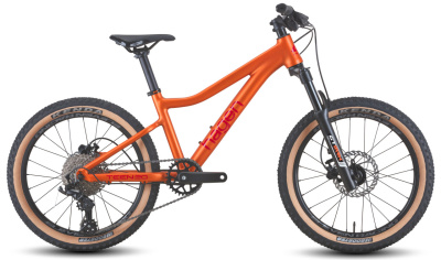 Велосипед Hagen 2025 Teen 20, медный, матовый