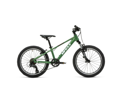 Велосипед Welt 2025 Brave 1.0 20 VB Calm Green