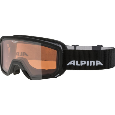 Очки Alpina Scarabeo S Q Black Matt/Q 